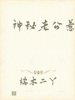 神秘老公惹不起