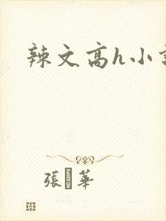 辣文高h小说
