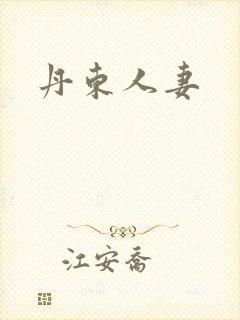 丹东人妻封面