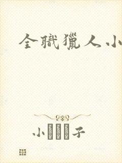全职猎人小说封面