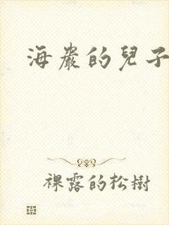 海岩的儿子