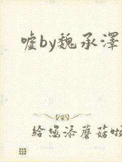 嘘by魏承泽