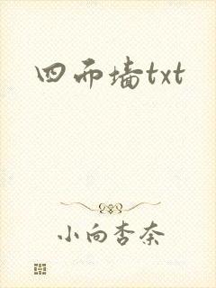 四面墙txt