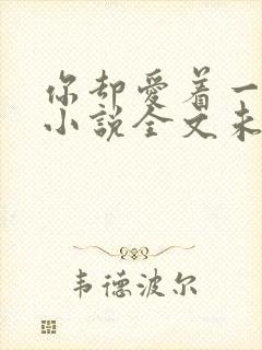 你却爱着一个他小说全文未删减免费