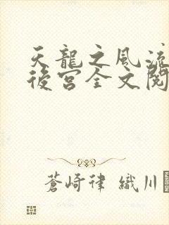 天龙之风流猎艳后宫全文阅读封面