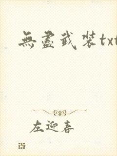 无尽武装txt封面