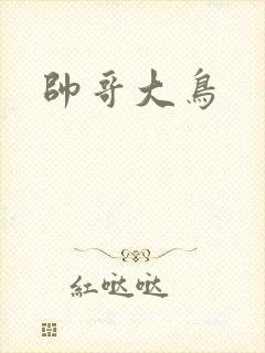 帅哥大鸟