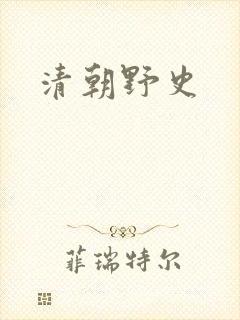 清朝野史封面