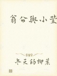 翁公与小莹