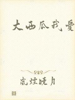 大西瓜我爱你封面