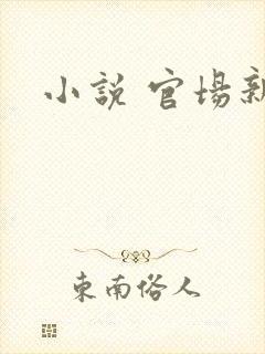 小说 官场新贵