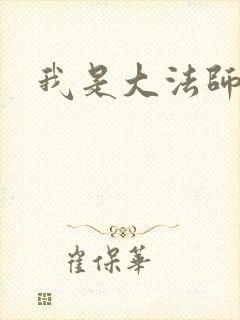 我是大法师封面