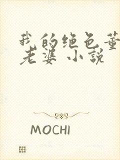 我的绝色董事长老婆 小说