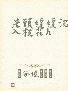 老头缓缓沉腰进入校花h