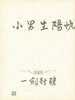 小男生阳帆