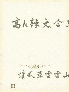 高h辣文合集封面