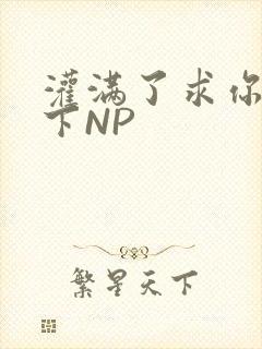 灌满了求你们停下NP