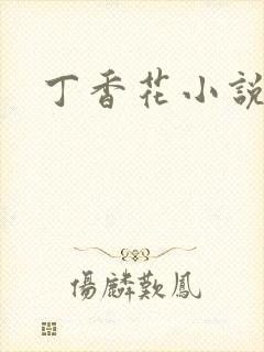 丁香花小说