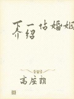 下一站婚姻剧情介绍