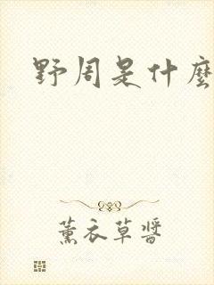野周是什么意思封面