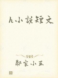 h小说短文封面