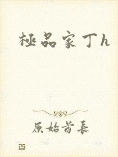 极品家丁h封面