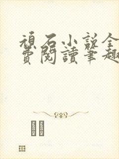 顽石小说全文免费阅读笔趣阁