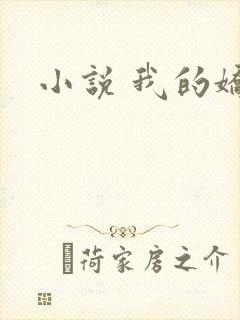 小说 我的娇妻