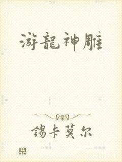 游龙神雕封面