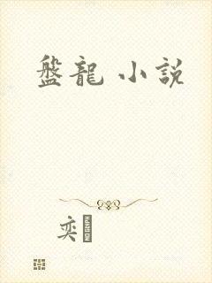 盘龙 小说封面