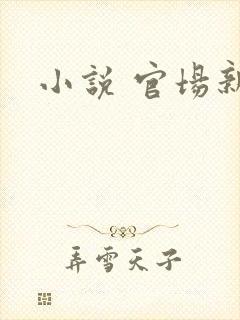 小说 官场新贵