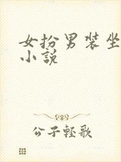 女扮男装坐江山小说
