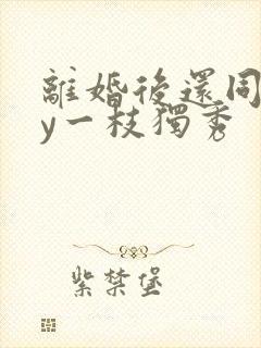 离婚后还同居by一枝独秀封面