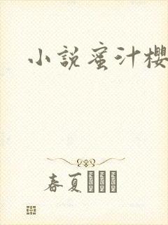 小说蜜汁樱桃