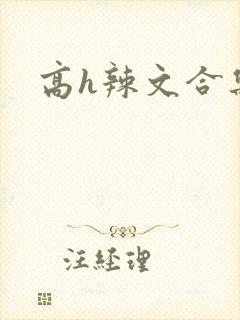 高h辣文合集封面