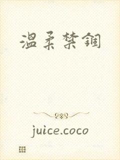 温柔禁锢封面