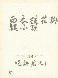 白衣校花与大长腿小说