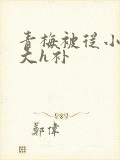 青梅被从小摸到大h补封面