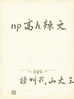np高h辣文
