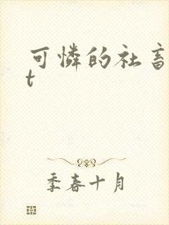 可怜的社畜txt
