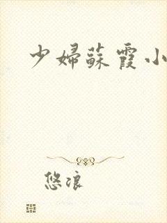少妇苏霞小说