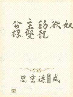 公主的欲奴h四根双龙