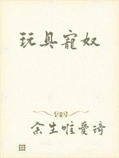 玩具宠奴
