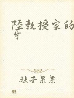 陆教授家的小月牙