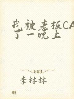 我被老板CAO了一晚上