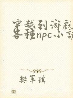 穿越到游戏里和各种npc小说封面