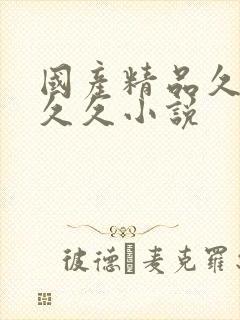 国产精品久久久久久小说
