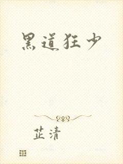 黑道狂少封面