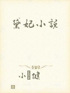 黛妃小说