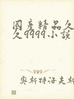 国产精品久久久久9999小说